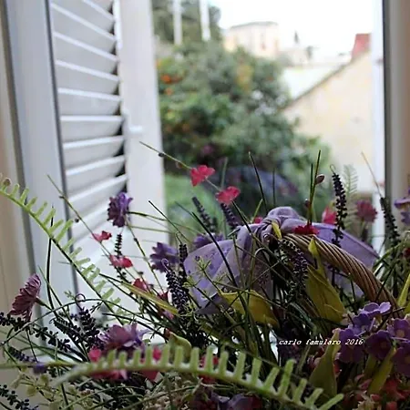 Apollo Bed & Breakfast Capri