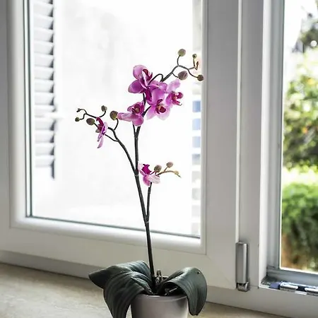 Bed and breakfast Apollo Capri