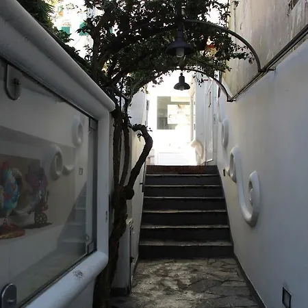 阿波罗别墅住宿加早餐旅馆 4*