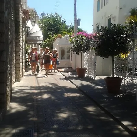 Bed and breakfast Apollo 4*