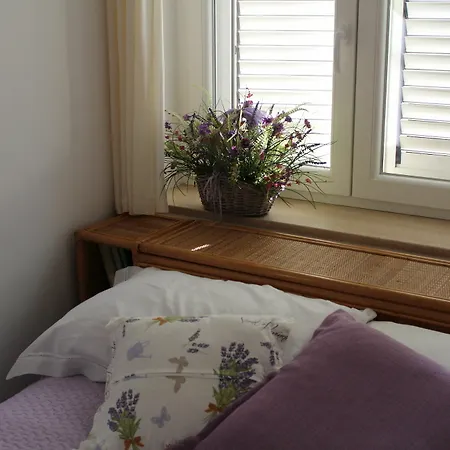 Villa Apollo B&B 4*