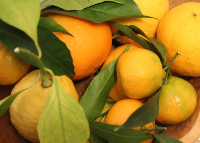 Apollo Couette-café