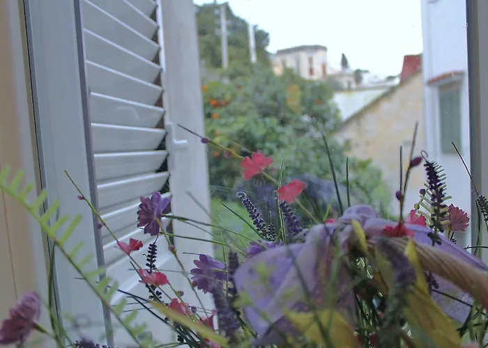 Panzió Apollo Capri