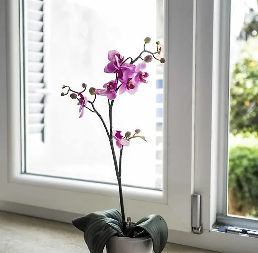 Bed & Breakfast Apollo Capri